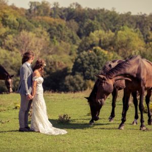 évi-és-dávid-gézaháza-esküvő-kreatív-fotózás-lovas-esküvő